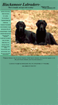 Mobile Screenshot of blackamoorlabradors.com