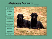 Tablet Screenshot of blackamoorlabradors.com